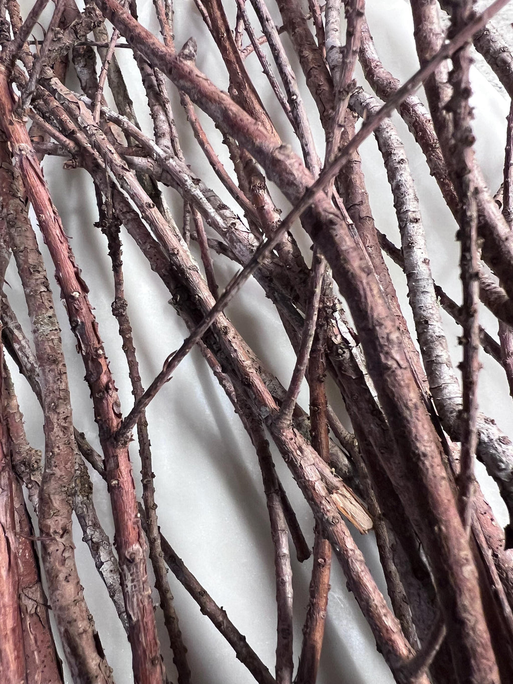 Cypress Twigs, Organic Ritual Sticks, Protection Magic, Set of 20