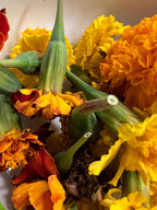 Marigold Charm, Creativity, Solar Magic, Dried Botanical, 2026 Harvest