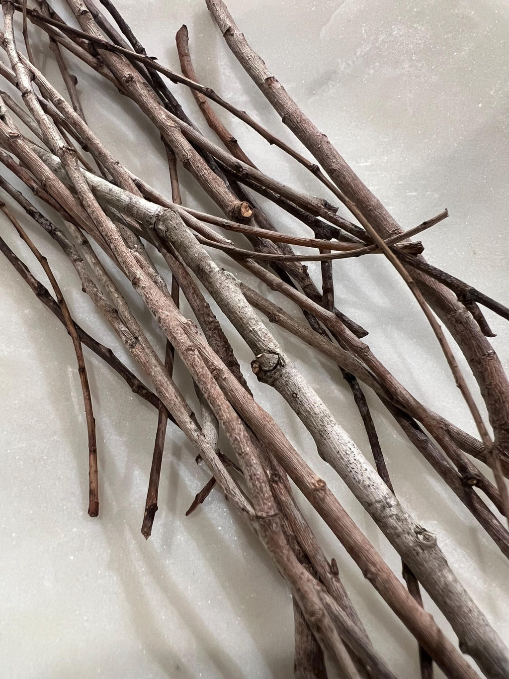 Wisps of Willow, Fallen Winter Willow Twigs, For Ritual, Divination and Threshold Magic