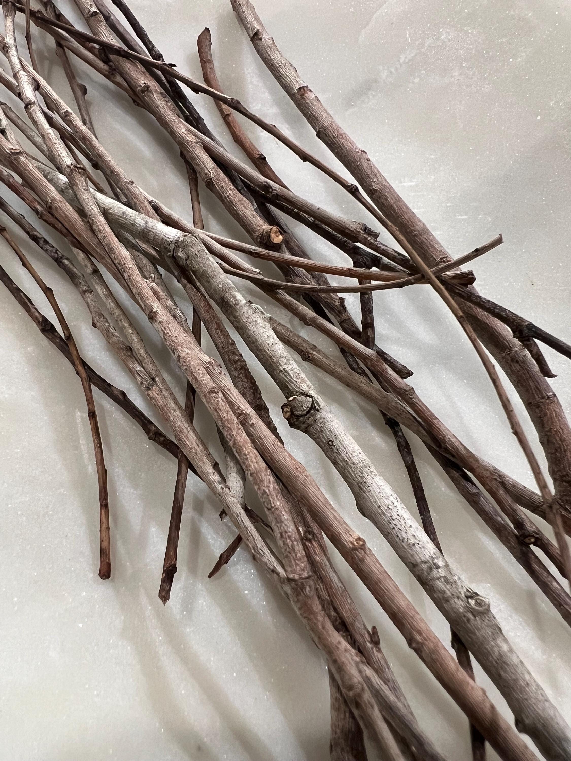 Wisps of Willow, Fallen Winter Willow Twigs, For Ritual, Divination and Threshold Magic
