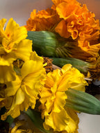 Marigold Charm, Creativity, Solar Magic, Dried Botanical, 2026 Harvest