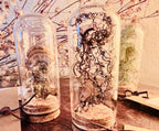 Forest Finds, Glass Cloche Curio, Foraged Woodland Specimen Display, Oddity