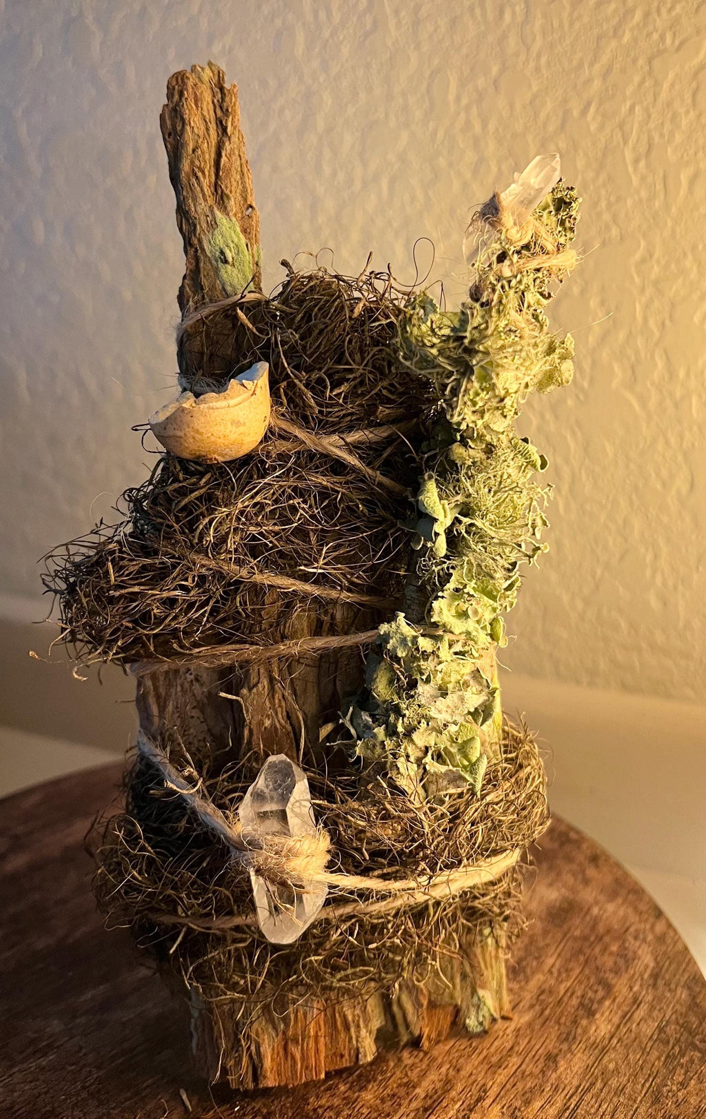 Up in the Trees – Living Altar Piece, Quartz Crystal, Cypress Bark, Lichen, Gourd Curio, Sculpture