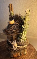 Up in the Trees – Living Altar Piece, Quartz Crystal, Cypress Bark, Lichen, Gourd Curio, Sculpture