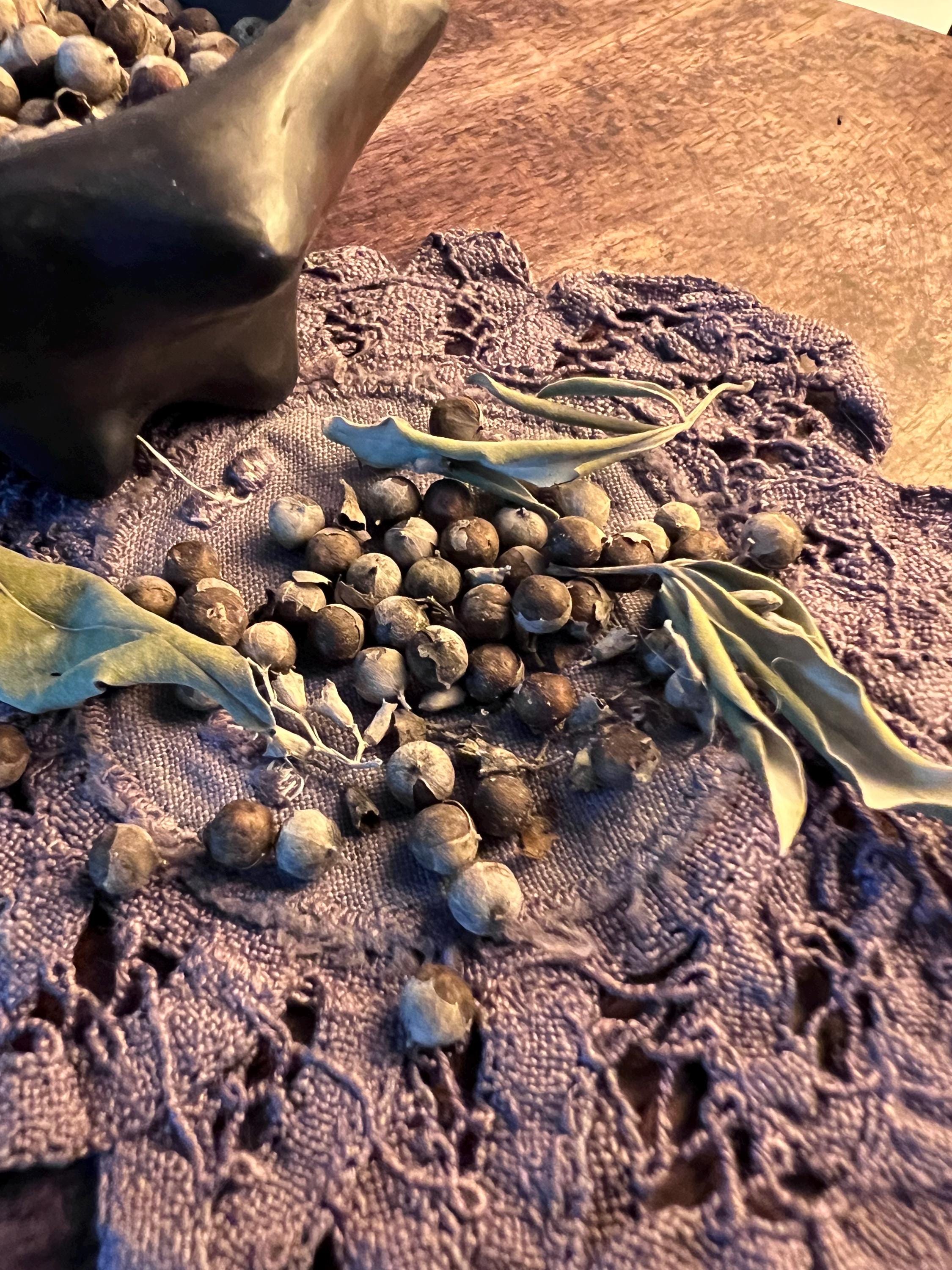 Chaste Berry Witch’s Pinch, Fidelity Herb, Emotional Balance Herb, Dried Vitex Berries, Charm Bag Herb, Cottage Grown Witchcraft Supply