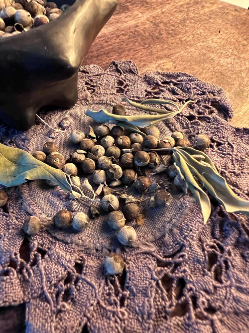 Chaste Berry Witch’s Pinch, Fidelity Herb, Emotional Balance Herb, Dried Vitex Berries, Charm Bag Herb, Cottage Grown Witchcraft Supply